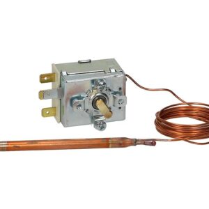 Bộ ổn nhiệt 1 pha TR2 0–90°C – Angelo Po 32Z8840